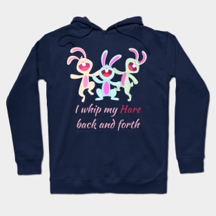 I Whip my Hair Back and Forth Hoodie